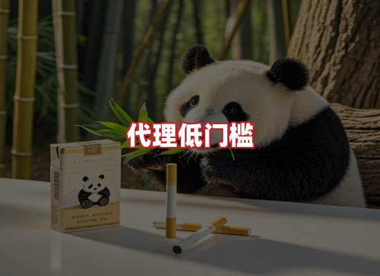 专业团队
